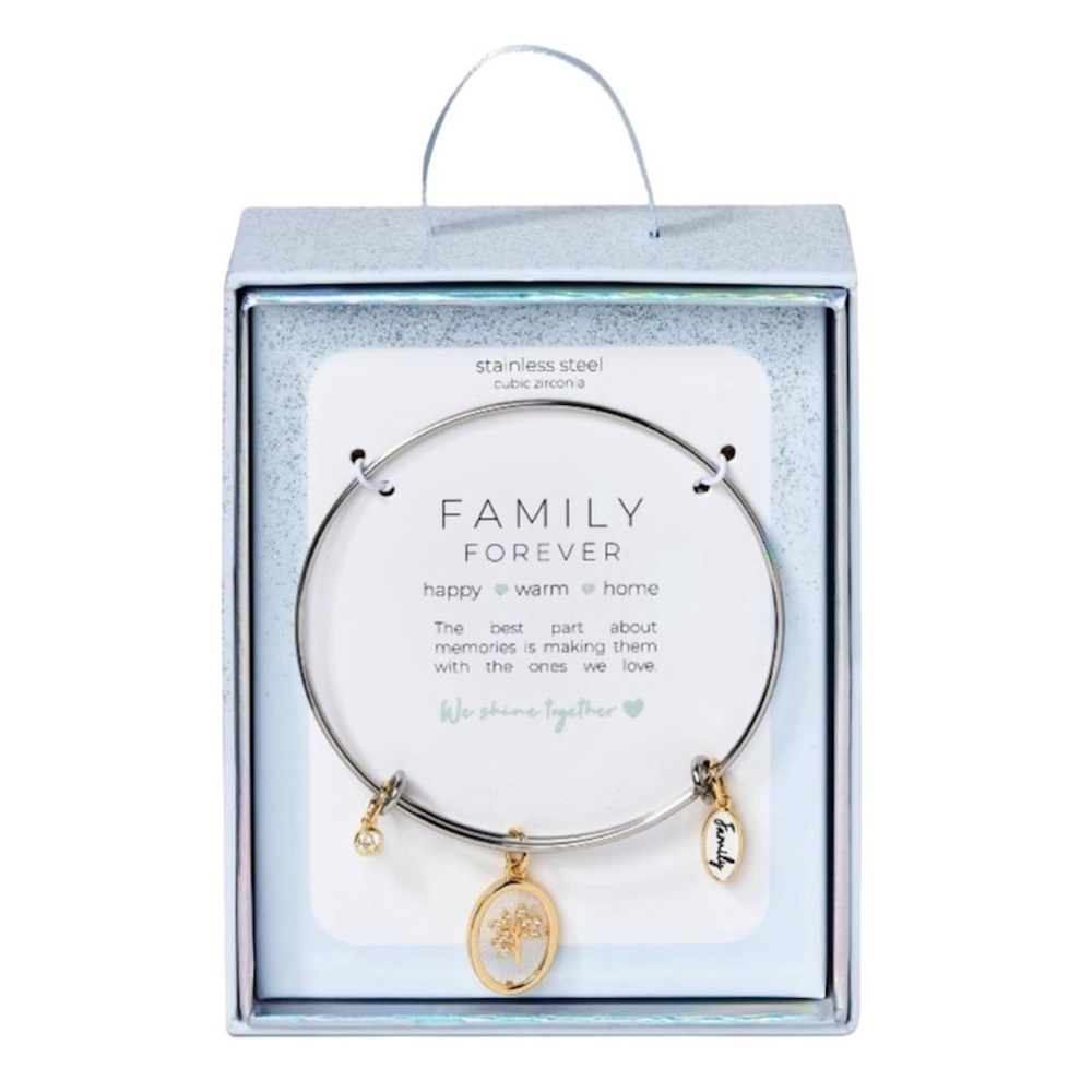 Stainless Steel 2 Tone Silver & Gold "Family" Cubic Zirconia Bangle Bracelet